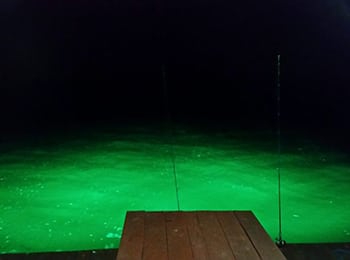 350 - green-dock-lights-1024x576